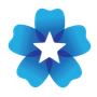 Doctor Profile